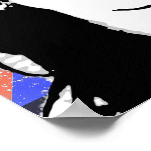 Poster Cristina Fernandez de Kirchner (Coin)