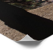 Poster Croatie, Brac Island, Bol, Golden Cape Beach (Coin)