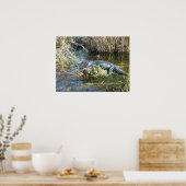 Poster Croc (Cuisine)