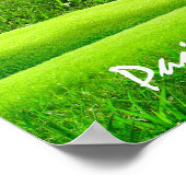 Poster Croc 2 - SRF (Coin)