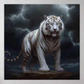 Poster Croc Blanc (Devant)