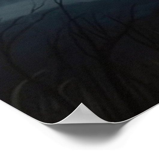 Poster Croc Blanc (Coin)