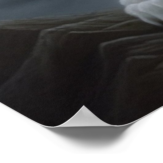 Poster Croc Blanc (Coin)