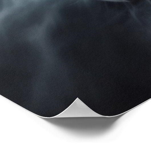 Poster Croc Blanc (Coin)