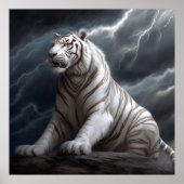 Poster Croc Blanc (Devant)