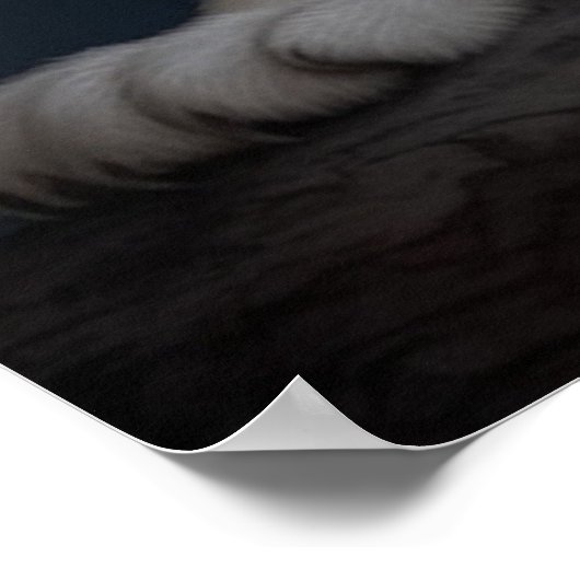 Poster Croc Blanc (Coin)