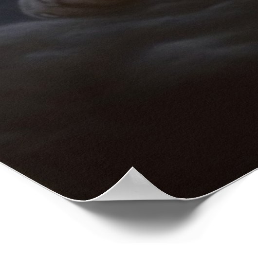 Poster Croc Blanc (Coin)