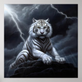 Poster Croc Blanc (Devant)