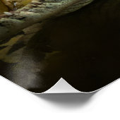 Poster Crocodile (Coin)