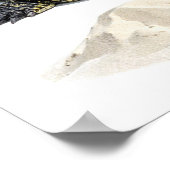 Poster Crocodile (Coin)