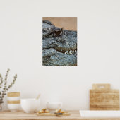 Poster Crocodile (Cuisine)