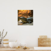 Poster Crocodile (Cuisine)