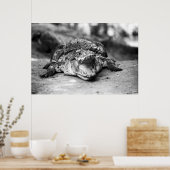 Poster Crocodile (Cuisine)