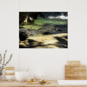 Poster Crocodile (Cuisine)