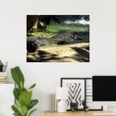 Poster Crocodile (Bureau à domicile)