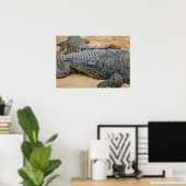 Poster Crocodile (Bureau à domicile)