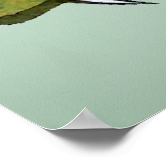 Poster Crocodile (Coin)