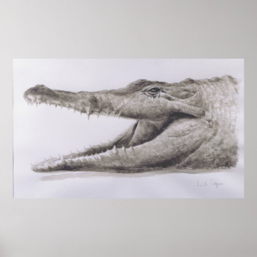 Poster Crocodile 2005 (Devant)