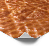 Poster Crocodile alligator reptile texture cuir fermer (Coin)