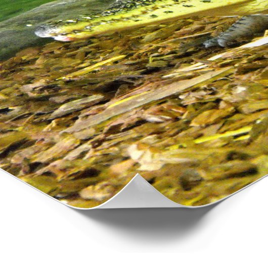 Poster crocodile cubain (Coin)