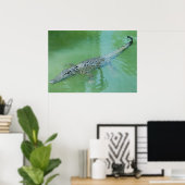 Poster Crocodile d'eau salée en Australie (Bureau à domicile)