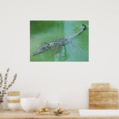 Poster Crocodile d'eau salée en Australie (Cuisine)
