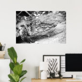 Poster Crocodile en Gambie (Bureau à domicile)