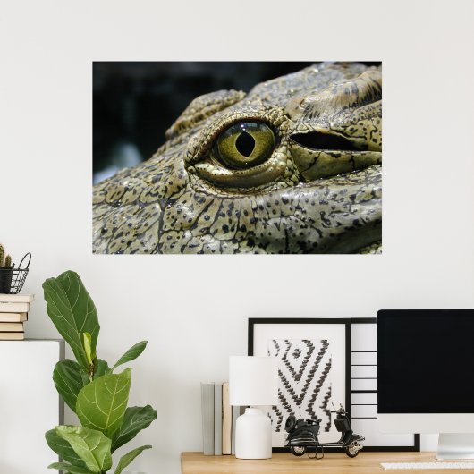 Poster Crocodile eye (Bureau à domicile)