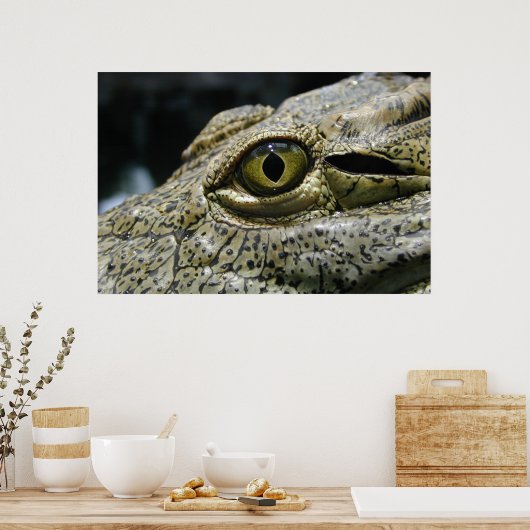 Poster Crocodile eye (Cuisine)