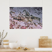 Poster Crocodile Flathead (Cuisine)