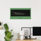 Poster Crocodile - Illustration d'un livre coloré antique (Bureau à domicile)