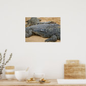 Poster Crocodiles (Cuisine)