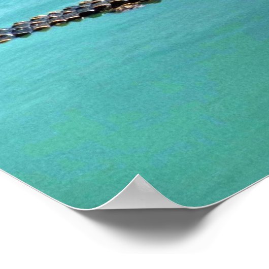 Poster Crocodiles du Nil (Coin)