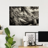 Poster Crocodylus Moreletii (Bureau à domicile)