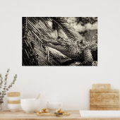 Poster Crocodylus Moreletii (Cuisine)