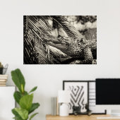 Poster Crocodylus Moreletii (Bureau à domicile)