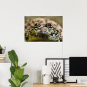 Poster Crocodylus Moreletii en gros plan (Bureau à domicile)