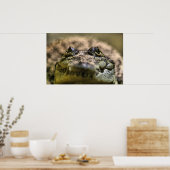Poster Crocodylus Moreletii en gros plan (Cuisine)