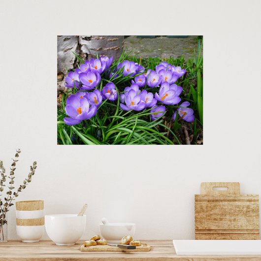 Poster Crocus (Cuisine)