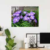 Poster Crocus (Bureau à domicile)