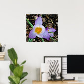 Poster Crocus, (Bureau à domicile)