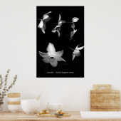 Poster Crocus (Cuisine)