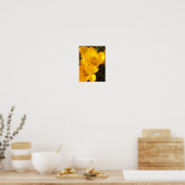Poster Crocus (Cuisine)