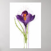 Poster Crocus (Devant)