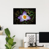 Poster Crocus, (Bureau à domicile)