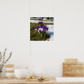 Poster Crocus au début du printemps (Cuisine)