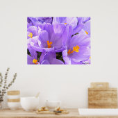 Poster Crocus gros caractères (Cuisine)