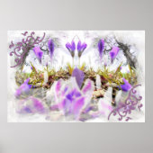 Poster Crocus printaniers (Devant)
