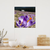Poster Crocus, Tatras (Cuisine)