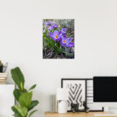 Poster Crocus violet (Bureau à domicile)